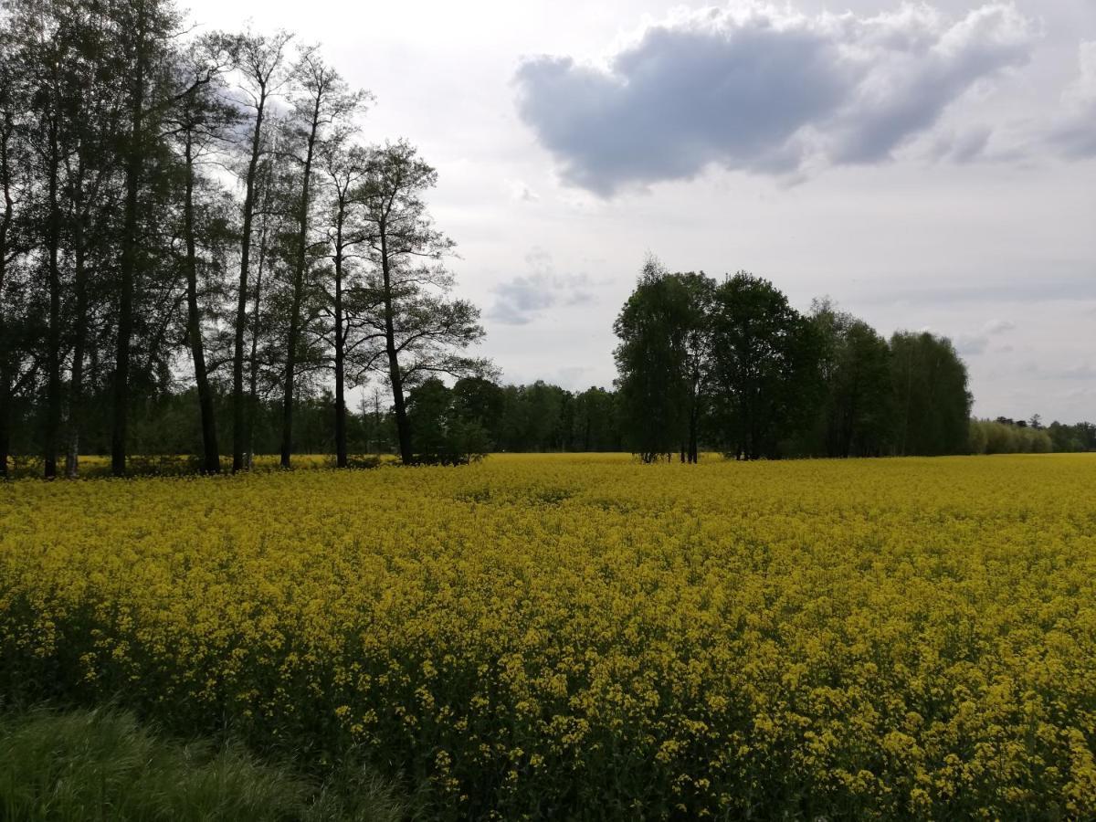 Hotel Am Waldrand Spreewald Burg  Esterno foto