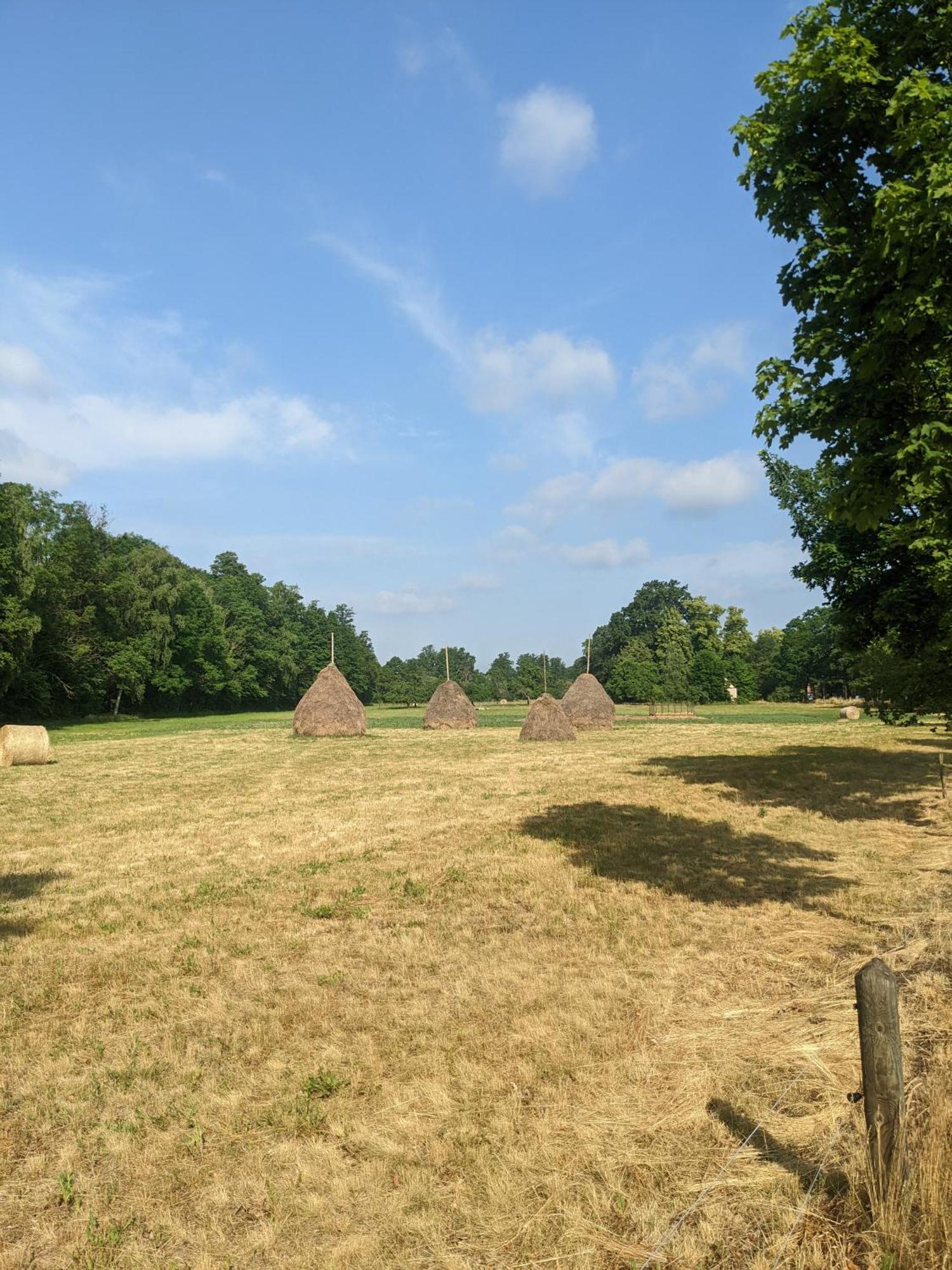 Hotel Am Waldrand Spreewald Burg  Esterno foto